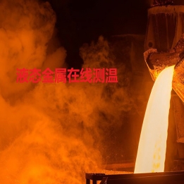 液态金属在线测温系统